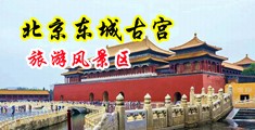 台湾农村黄片中国北京-东城古宫旅游风景区