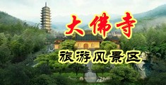 给我打个黄片让我看看美女中国浙江-新昌大佛寺旅游风景区